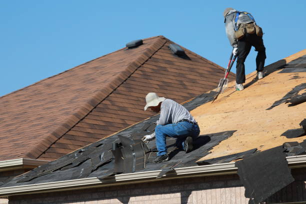 Professional Roofing and repair in Minerva Park, OH